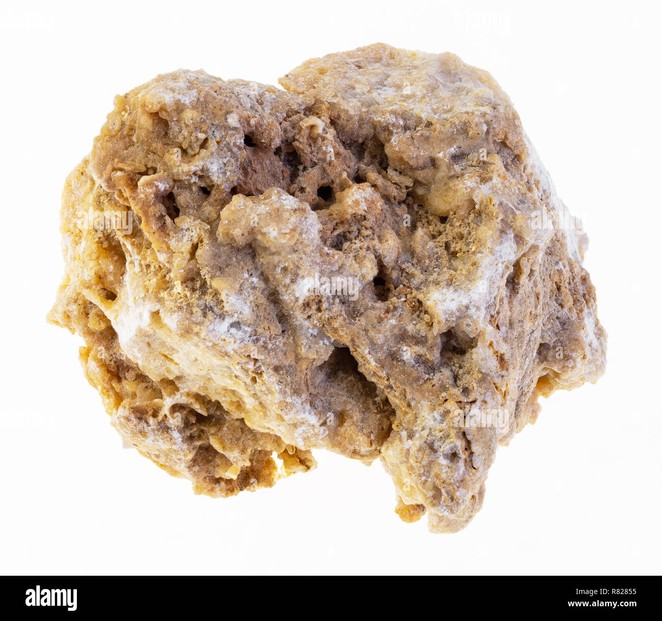 Macro photographie des eaux minérales naturelles et de matières premières - collection géologique de calcaire d'eau douce (travertin) pierre sur fond blanc Banque D'Images