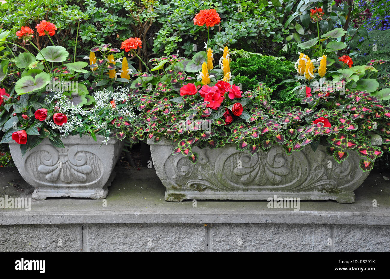 Les pierres décoratives jardinières de fleurs remplis de géraniums Banque D'Images