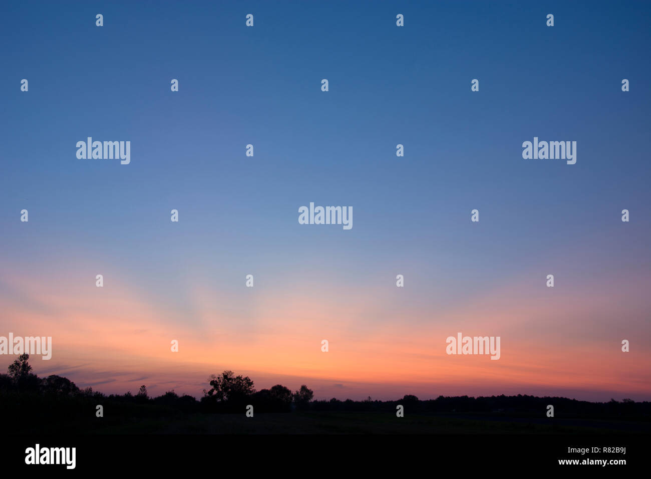 Pink-bleu du ciel après le coucher du soleil Banque D'Images