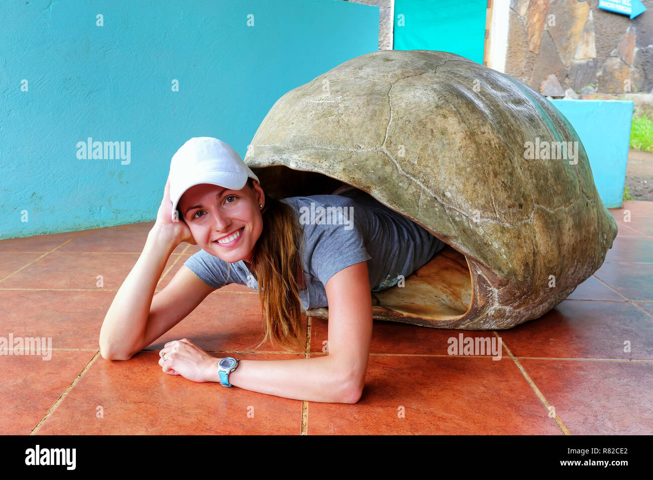 Jeune femme se trouvant à l'intérieur de l'écaille de tortue géante des Galapagos vide au sanctuaire sur l'île Santa Cruz, Parc National des Galapagos, Equateur. Banque D'Images