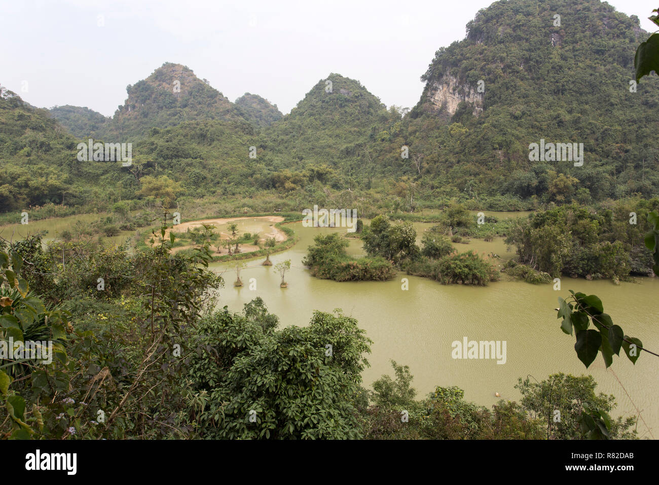 Parc Naturel avec de nombreux oiseaux au Vietnam Banque D'Images
