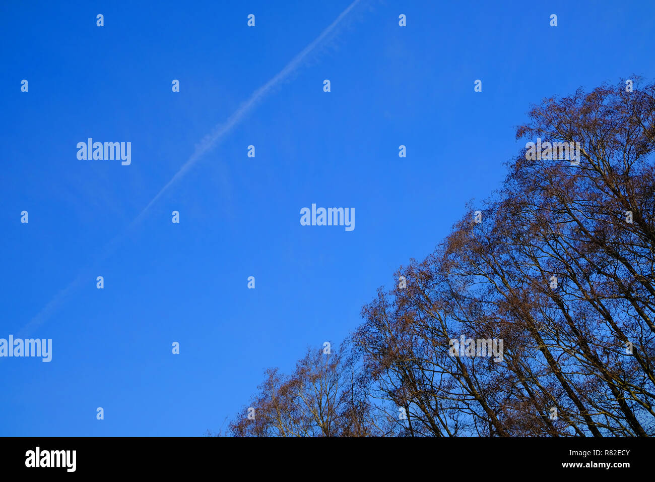 Jet vapeur à travers un ciel d'hiver bleu clair sur le sud de l'Angleterre, Kent, UK Banque D'Images