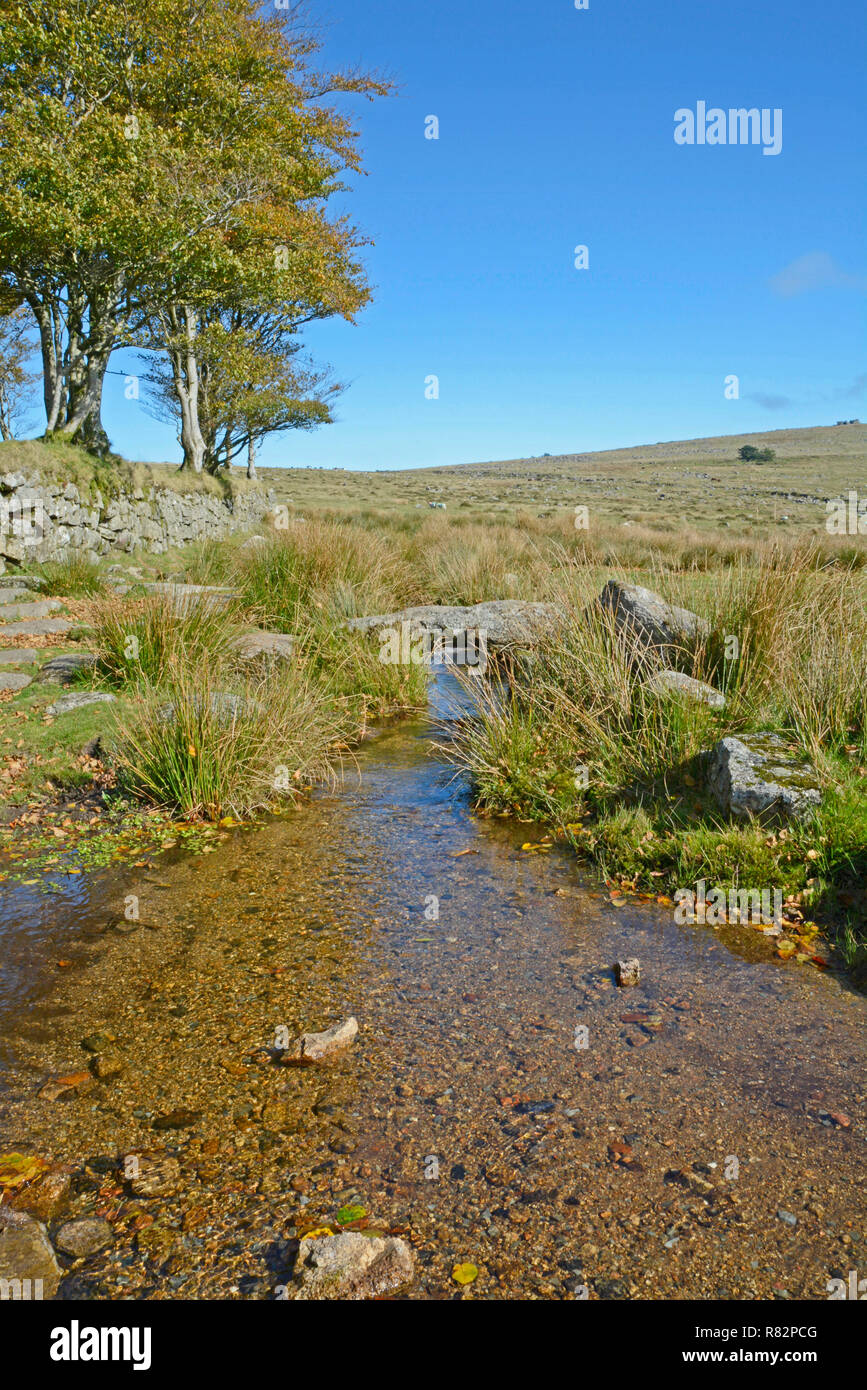 Longash communs près Merrivale, Dartmoor, North Hessary avec Tor dans la distance Banque D'Images