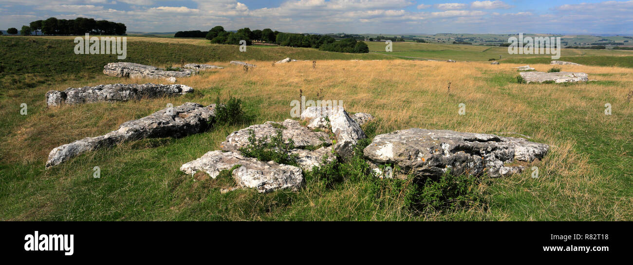 L'été, Arbor Henge basse Stone Circle, près du village de Monyash, parc national de Peak District, Derbyshire, Angleterre, RU Banque D'Images