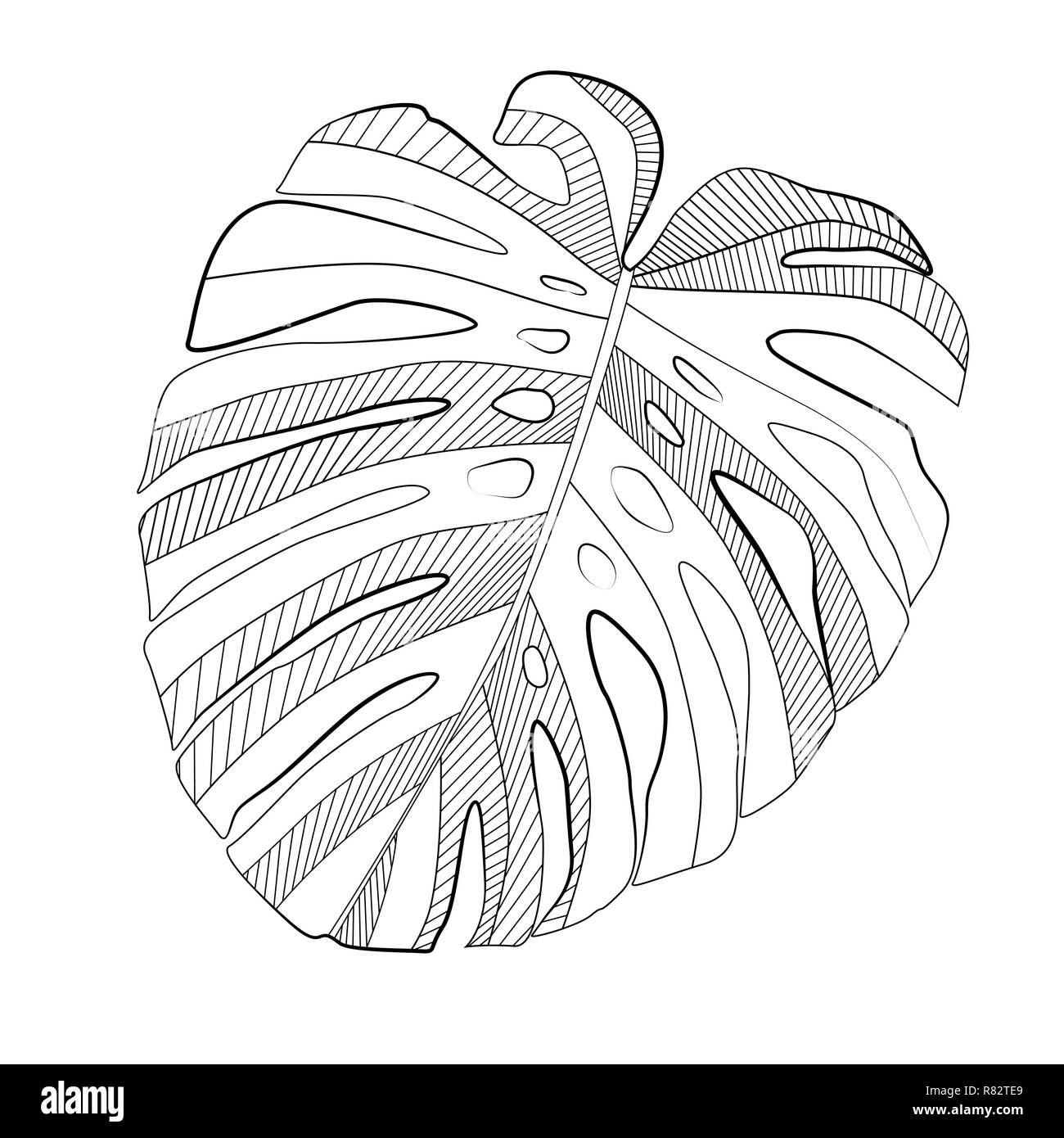 Résumé des feuilles monstera tropical. Vector Illustration Illustration de Vecteur
