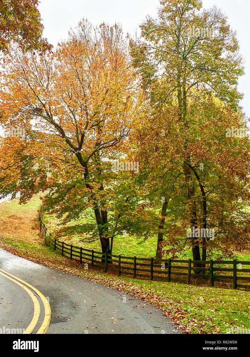 Paysage d'automne Road et pâturage clôturé Banque D'Images