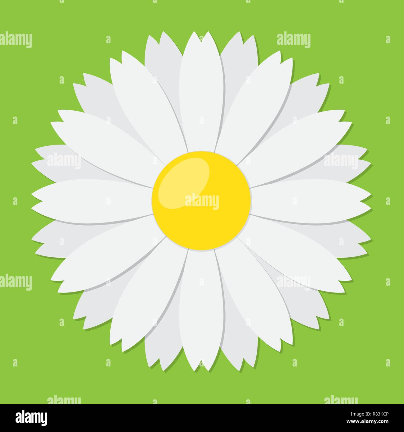 Marguerite blanche camomille icône. Vector illustration. Jolie fleur en télévision style. Illustration de Vecteur