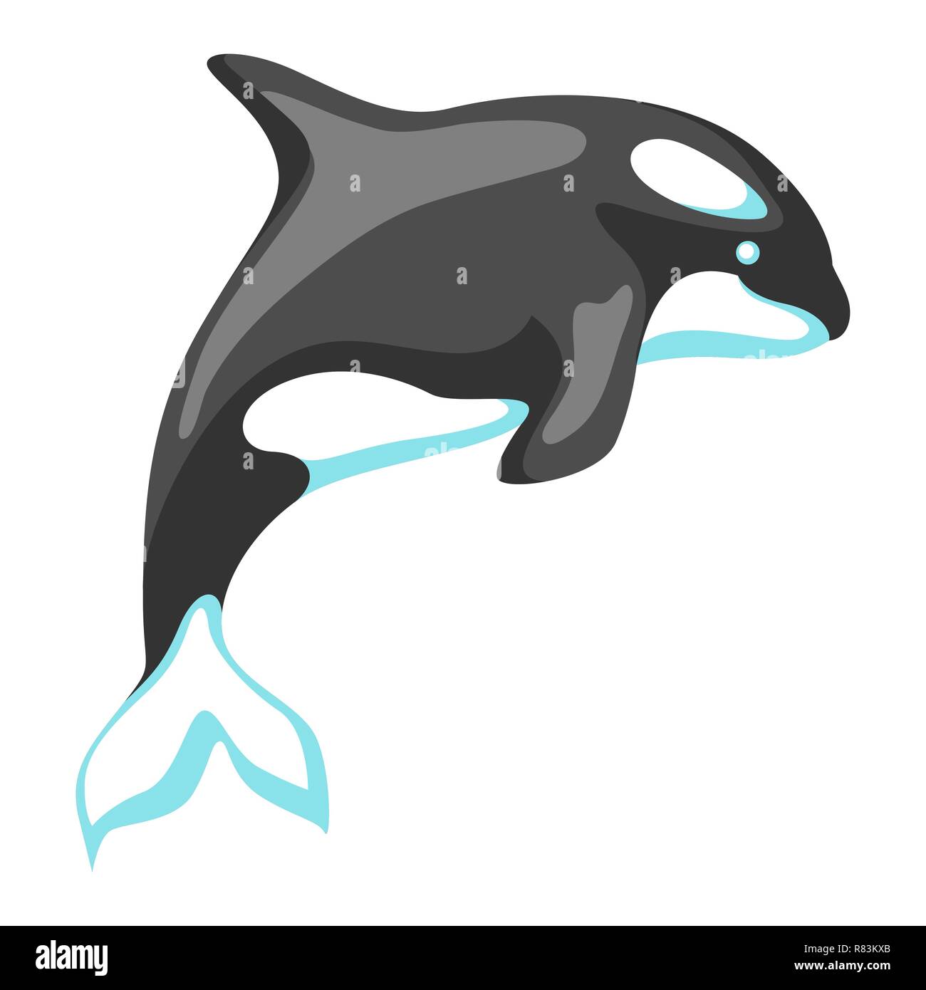 Killer whale en noir et blanc. Illustration de Vecteur