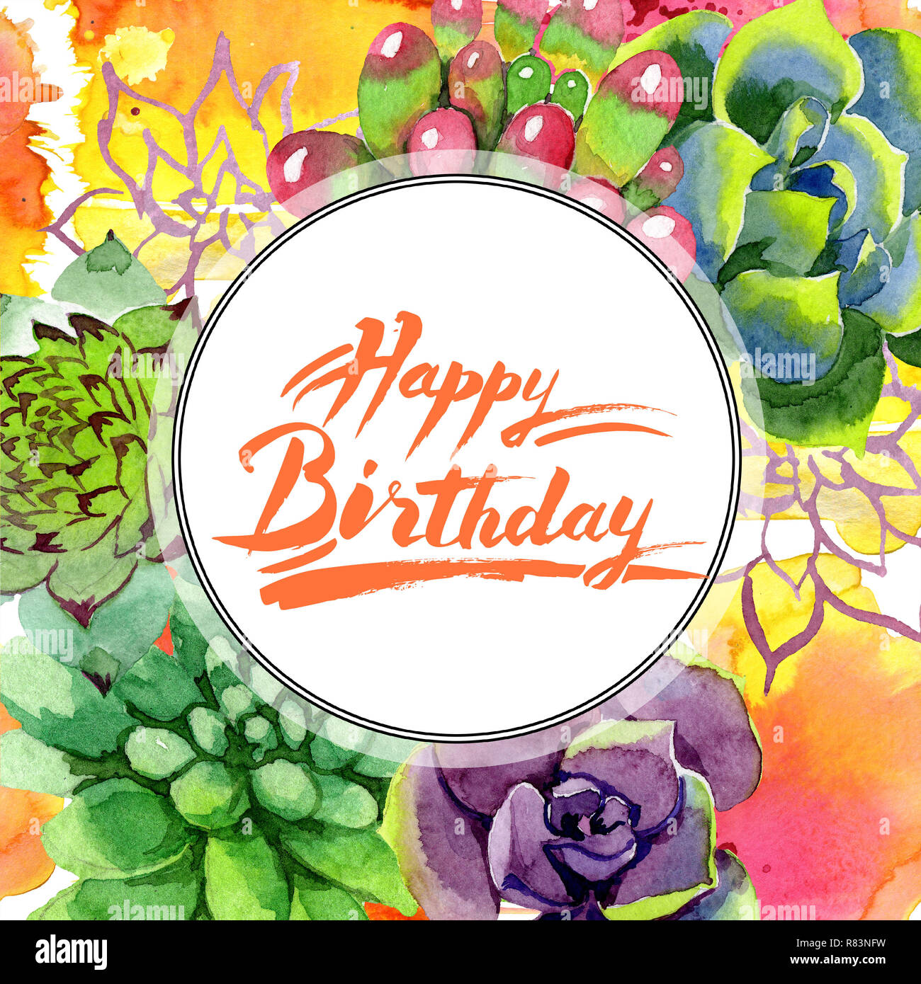 Succulentes Etonnantes Joyeux Anniversaire Monogramme L Ecriture La Calligraphie Contexte Aquarelle Illustration Set Bordure De Cadre Rond Ornement Han Aquarelle Photo Stock Alamy