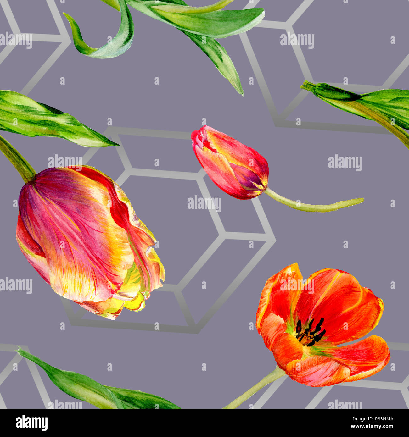 Amazing red tulip fleur avec feuille verte. Fleur botanique dessiné à la main. Contexte aquarelle illustration set. Motif de fond transparent. Wal tissu Banque D'Images