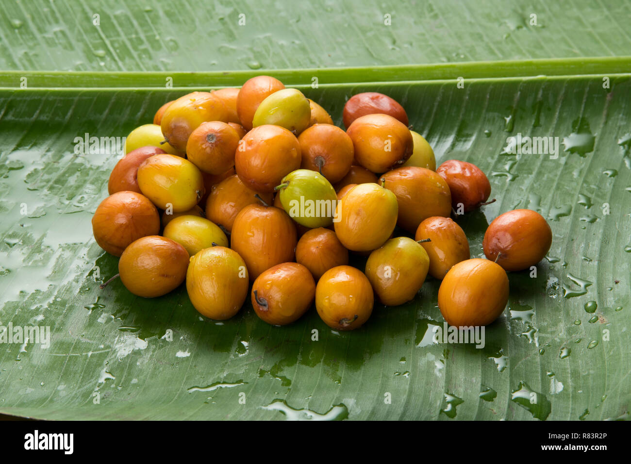 Fruits : Close up of Indian Pommes de jujube isolé sur fond vert feuille de bananier tourné en studio Banque D'Images