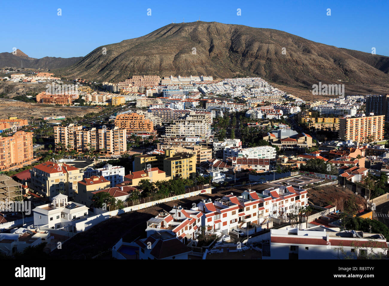 Los Cristianos , Playa de las Americas, Tenerife, Canary Island, une île espagnole, l'Espagne, au large de la côte nord de l'Afrique de l'ouest. Banque D'Images