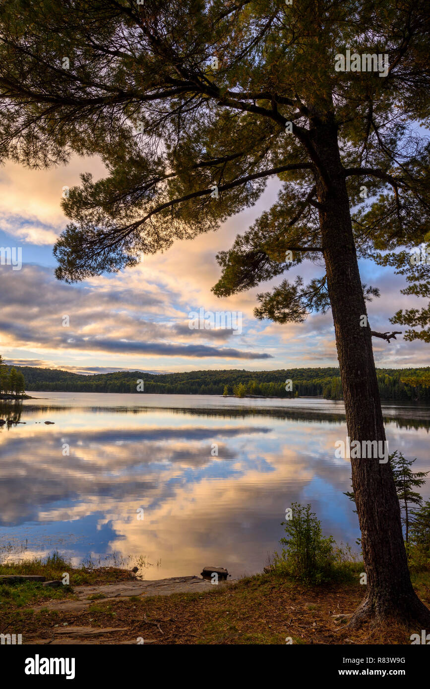 Lac de la réflexion à l'aube, sentier de randonnée de montagne, Algonquin Provincial Park, Ontario, Canada Banque D'Images