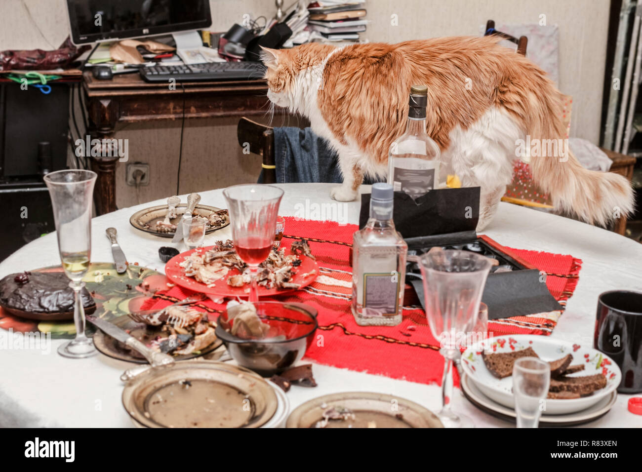 Joli rouge adultes chat sur table de vacances Banque D'Images