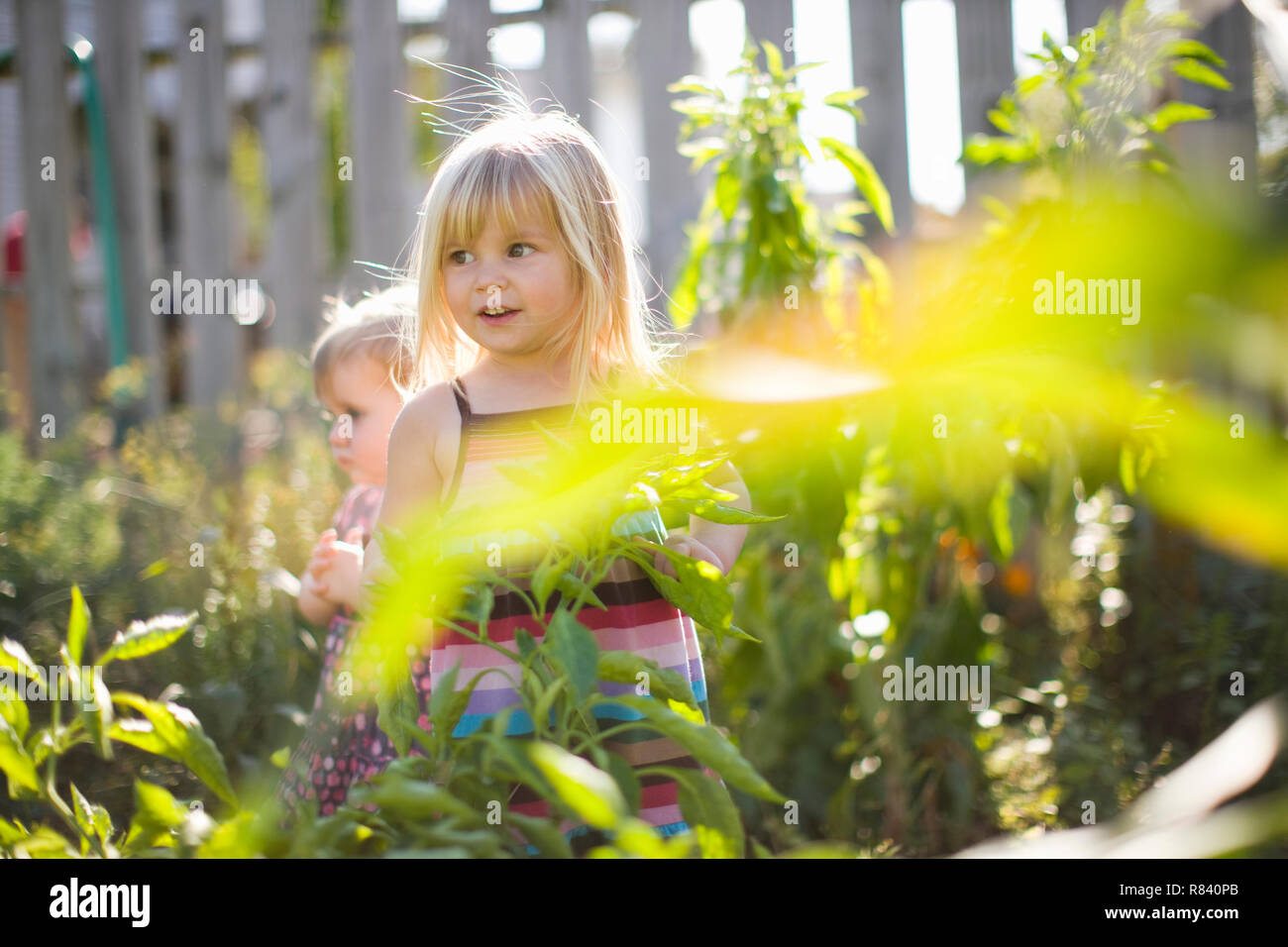 Little girls playing in garden Banque D'Images