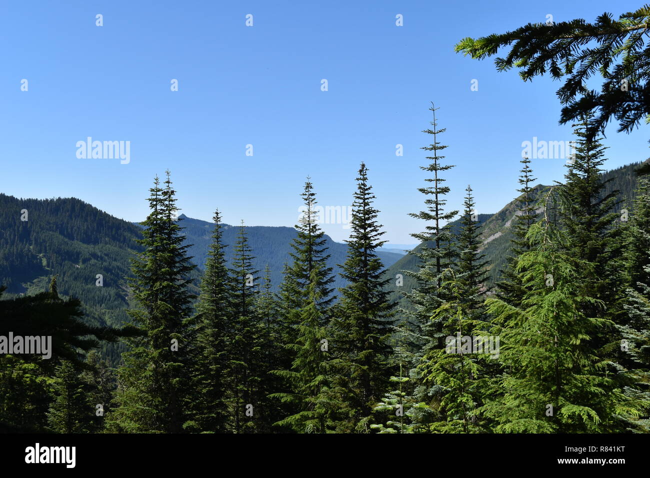 Vue panoramique sur la montagne et trail vues des deux Bearhead Trail et le granit des lacs dans le nord-ouest du Pacifique. Mt de l'État de Washington. Rainer prend l'arrière-plan. Banque D'Images
