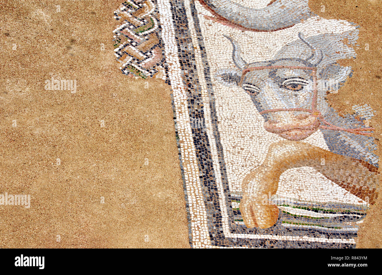 Mosaïque sur le plancher dans les bains, Dion, Grèce Banque D'Images