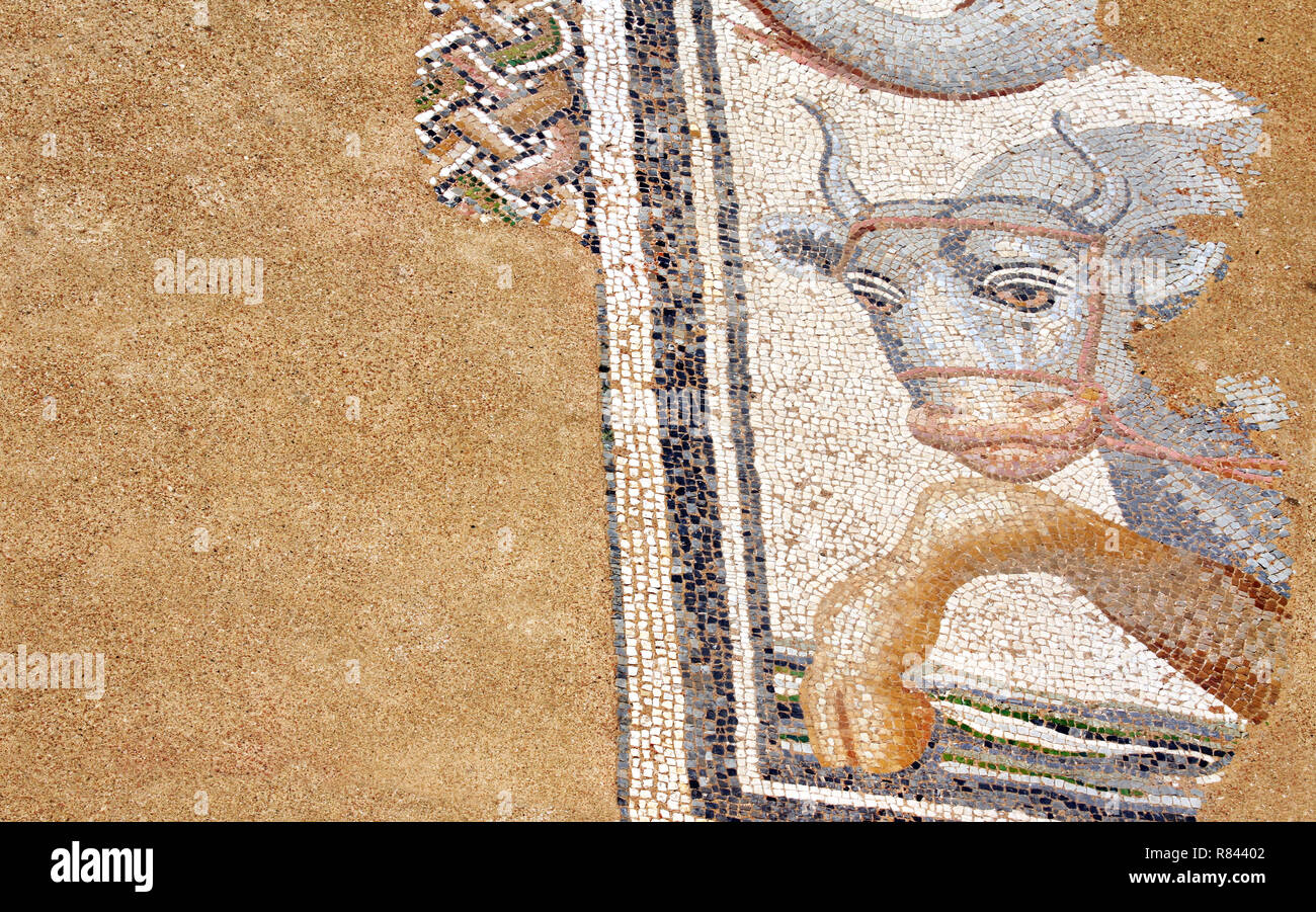 Mosaïque sur le plancher dans les bains, Dion, Grèce Banque D'Images