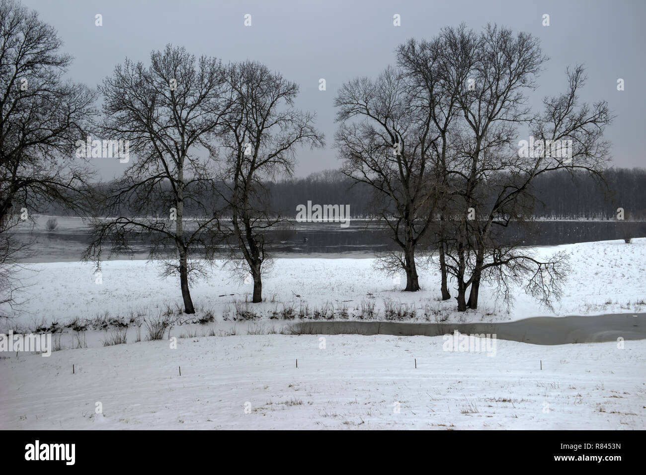 La Voïvodine, Serbie - Vue de la Nature Park Obedska Bara (Obedska Bog) recouvert de neige Banque D'Images