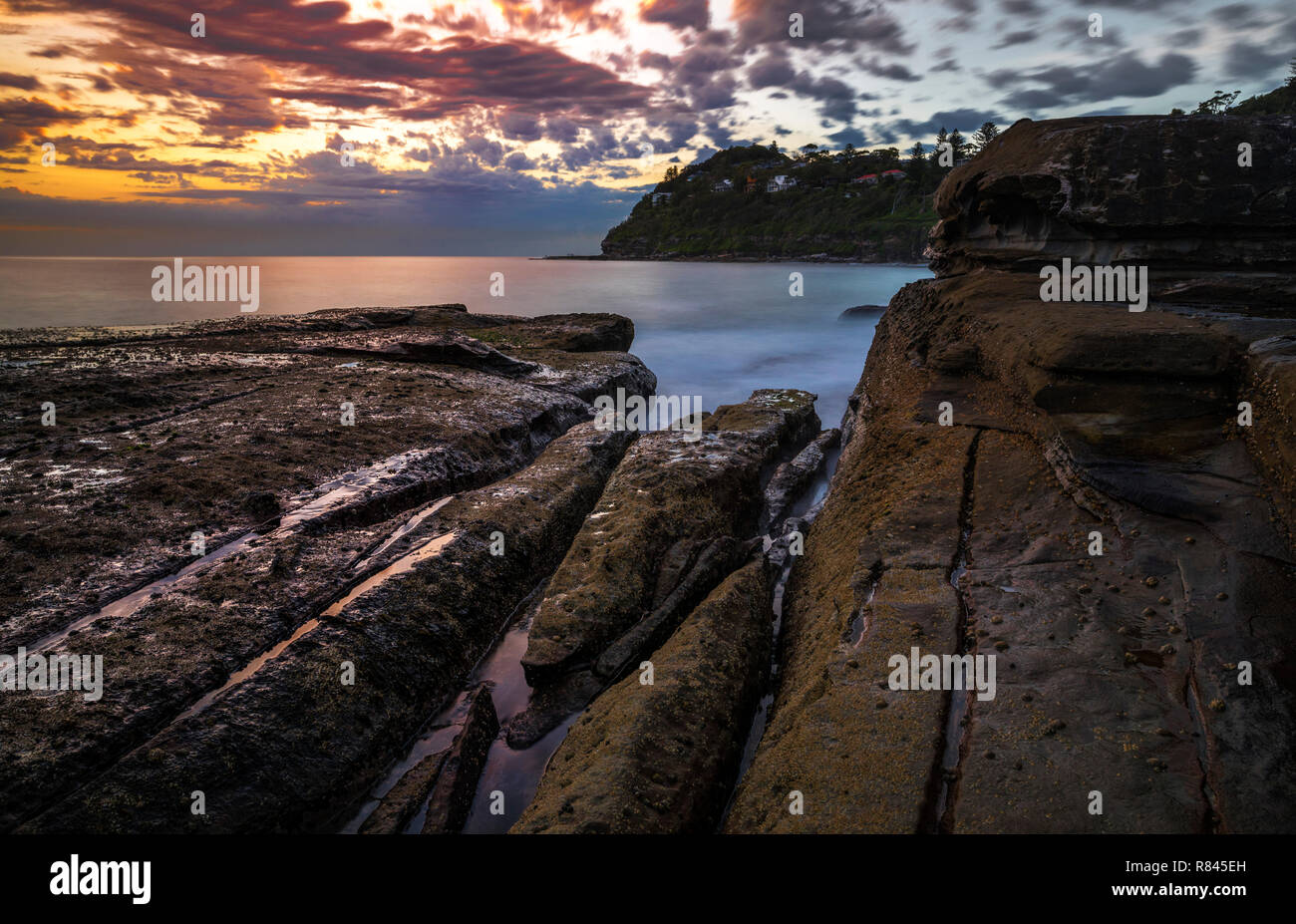 Whale Beach est une plage du nord, banlieue de Sydney, dans l'état de Nouvelle-Galles du Sud, Australie. Banque D'Images
