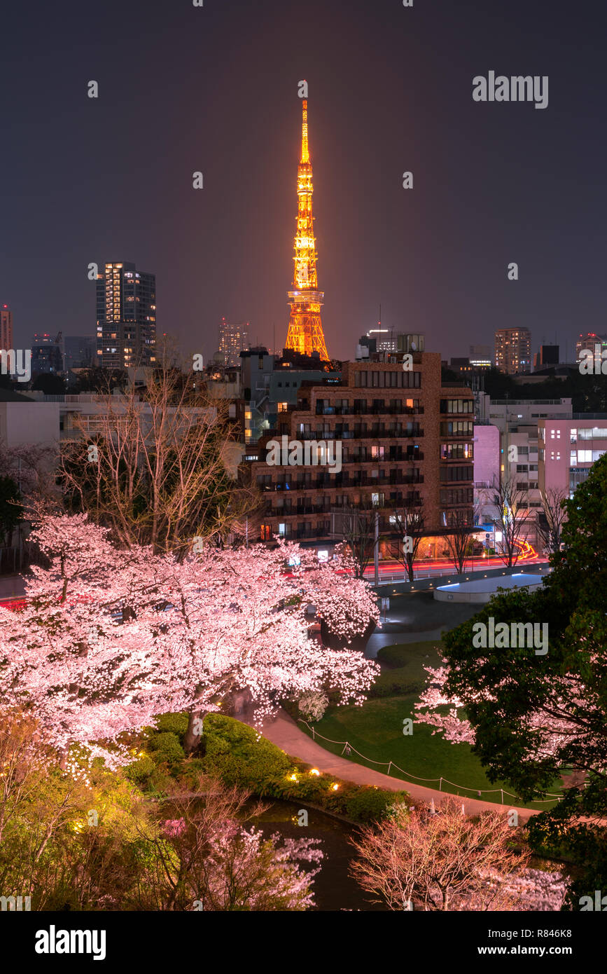 Vue nocturne de la tour de Tokyo avec fleurs de cerisier comme arrière-plan. Photoed Jardin à Mori, Tokyo, Japon. Banque D'Images