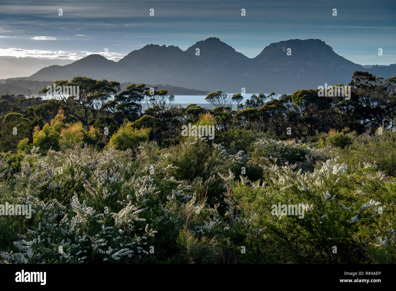 Chaîne de montagnes de danger, la Tasmanie Freycinet National Park, prises à partir de Coles Bay sur une journée ensoleillée avec ciel bleu Banque D'Images