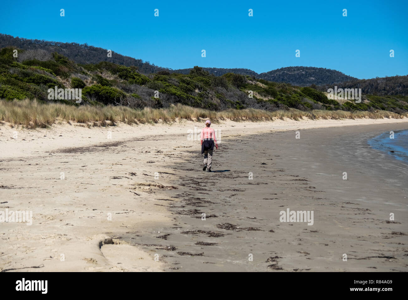 Randonneur sur beach vu de derrière dans le parc national de Freycinet, la Tasmanie un jour d'été avec ciel bleu Banque D'Images