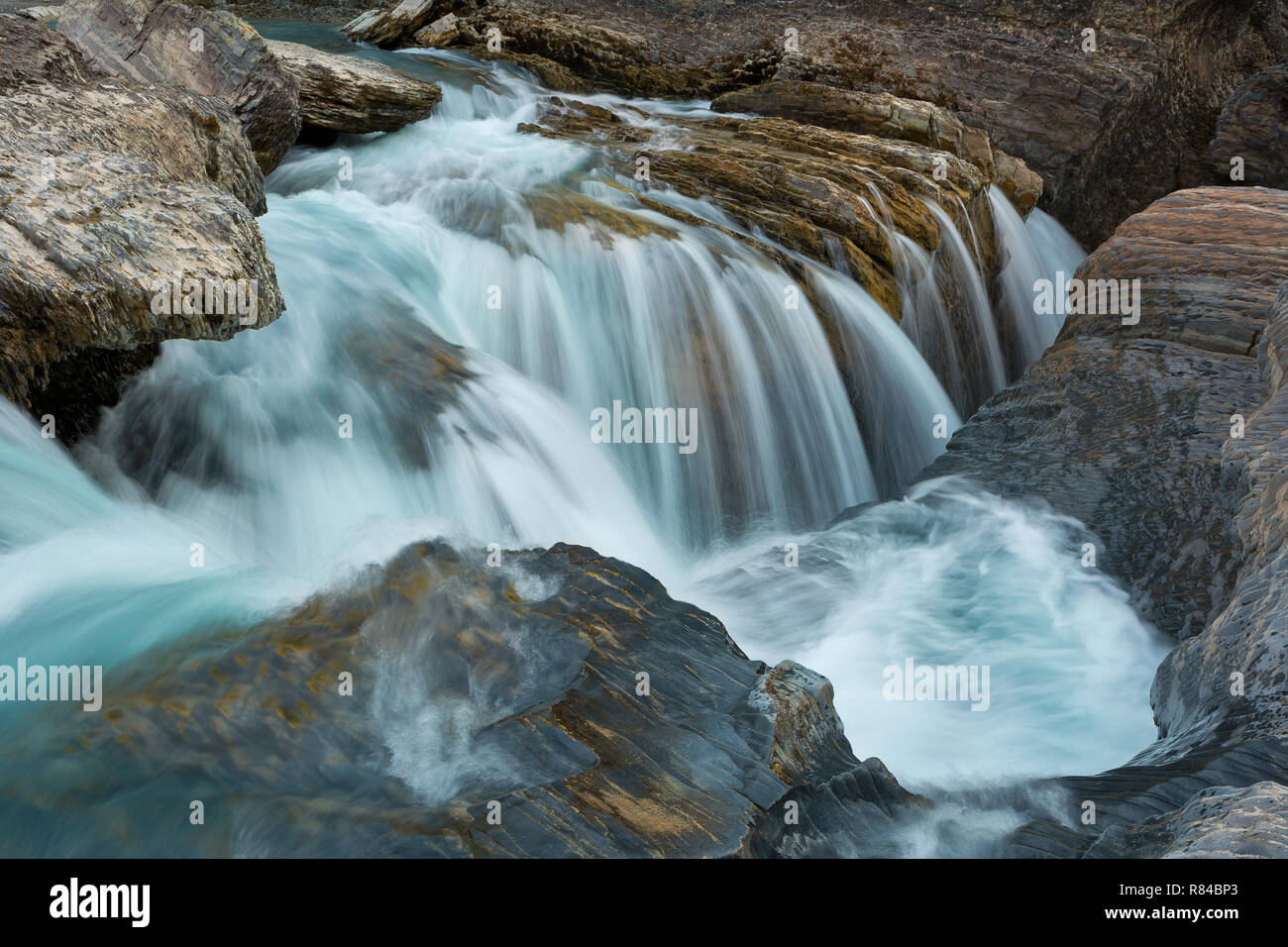 Une cascade dans un pont naturel le long de la rivière dans le parc national Yoho, Colombie-Britannique Canada Banque D'Images