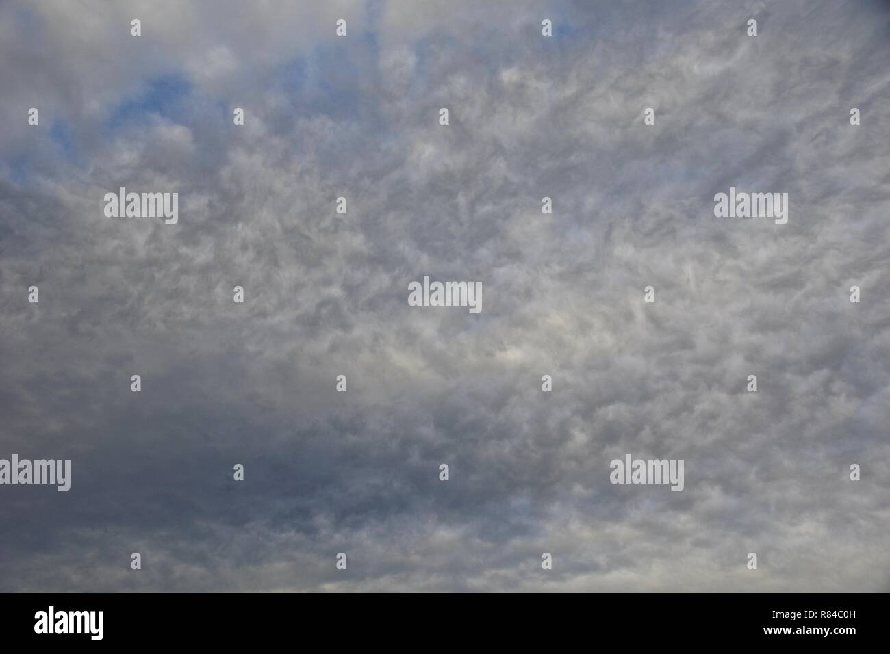 Base de texture, grumeleuse, Stratocumulus sur Aberdeen sur soirée d'automne. Météo naturelle historique, Ecosse, Royaume-Uni. Banque D'Images
