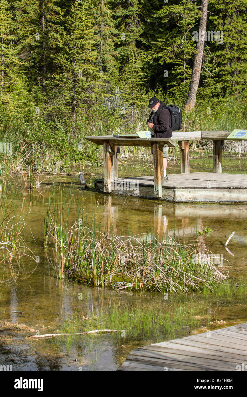 Le parc national Banff, Alberta, Canada. L'homme compte de l'affichage