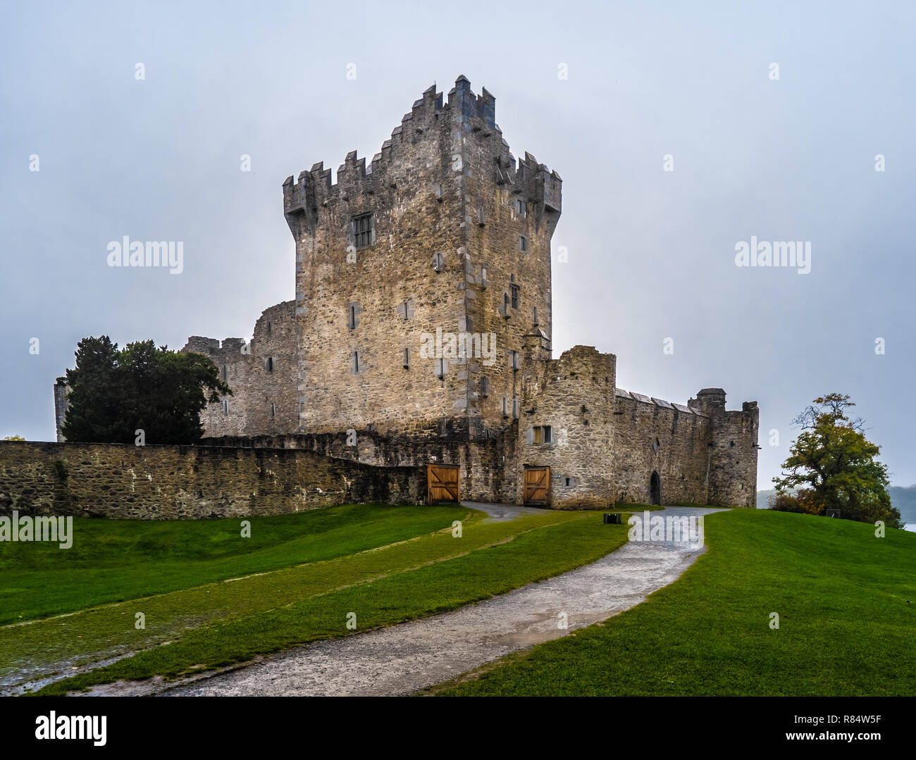 Ruines du Château de Ross, une tour du Xvème siècle maison et garder sur le bord de Lough Leane, le Parc National de Killarney, comté de Kerry, Irlande. Banque D'Images