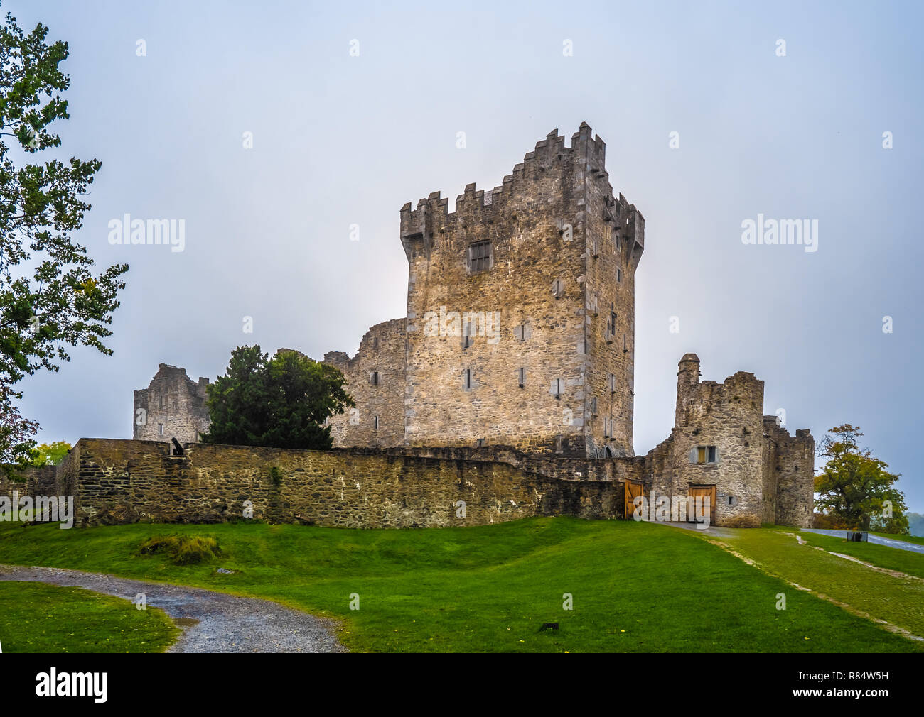 Ruines du Château de Ross, une tour du Xvème siècle maison et garder sur le bord de Lough Leane, le Parc National de Killarney, comté de Kerry, Irlande. Banque D'Images