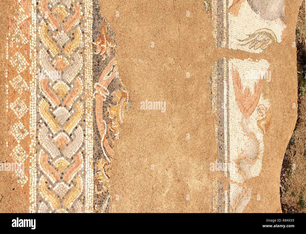 Mosaïque sur le plancher dans les bains, Dion, Grèce Banque D'Images