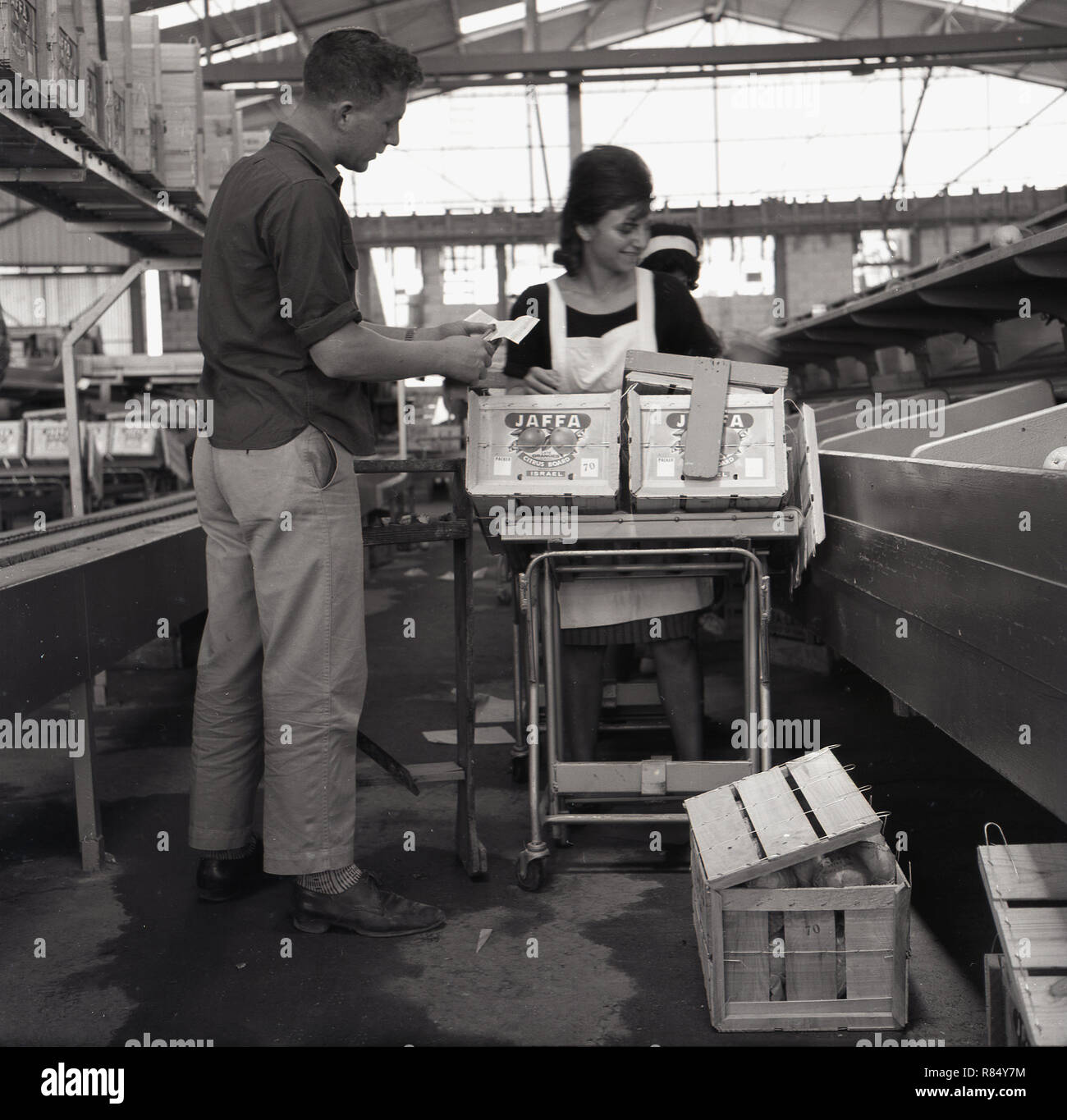 Années 1950, histrocial, un homme parle à une femme qui travaille à l'usine d'emballage pour les oranges de Jaffa, en Israël. Le jaffa orange (également connu sous le nom de Shamouti orange) était un produit d'exportation populaires comme il avait peu de graines et une peau dure.Le nom vient de la ville portuaire de Jaffa où il a été produit pour la première fois à l'exportation. Ils ont été élaborés par les agriculteurs dans la Palestine ottomane. En cette époque les oranges ont été emballée individuellement et sont venus à la lumière des caisses en bois. Banque D'Images