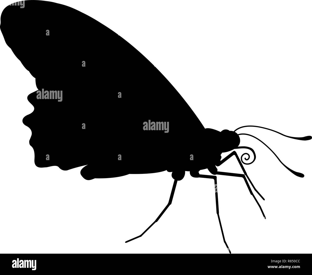 Silhouette d'animaux insectes papillon Illustration de Vecteur