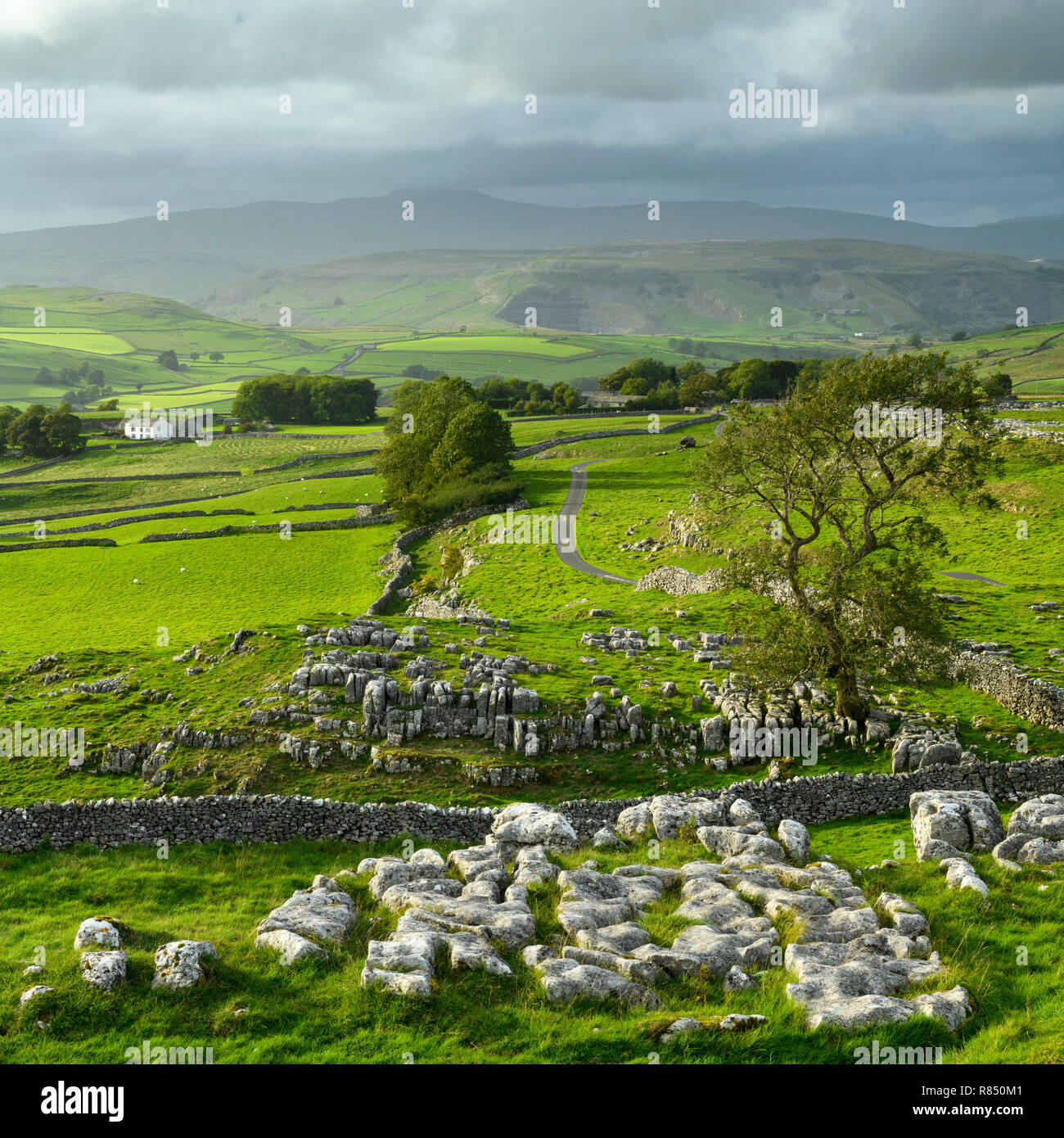 Vue panoramique sur lapiez & hautes terres vallonnées de campagne Pierres Winskill, au-dessus de Giggleswick & Stainforth, Yorkshire, Angleterre, Royaume-Uni. Banque D'Images