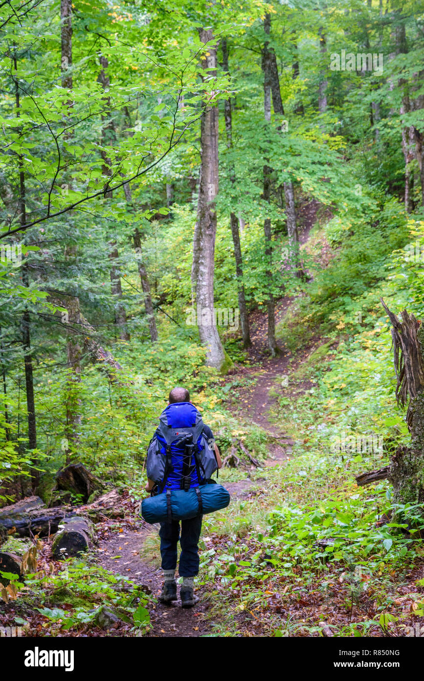 algonquin backpacking trails