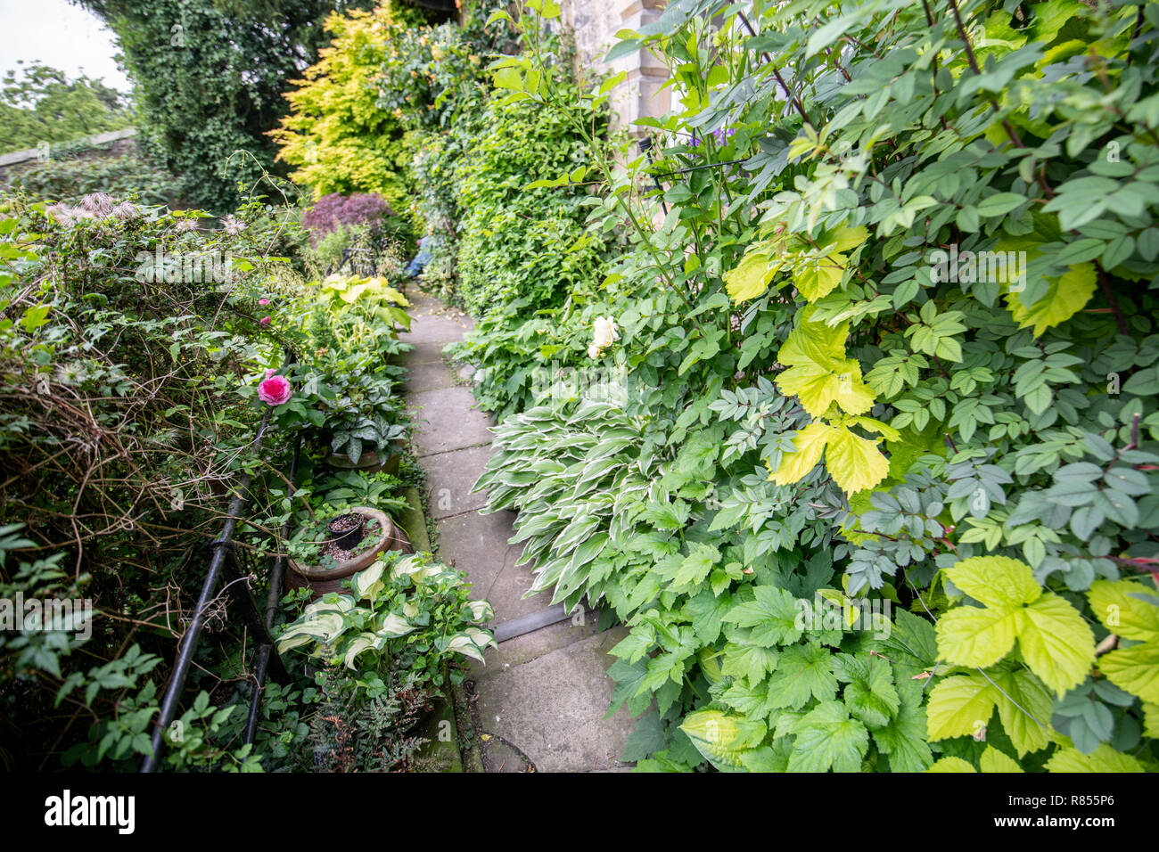 Un chemin en béton traverse un jardin luxuriant, Richmond, Yorkshire, UK Banque D'Images