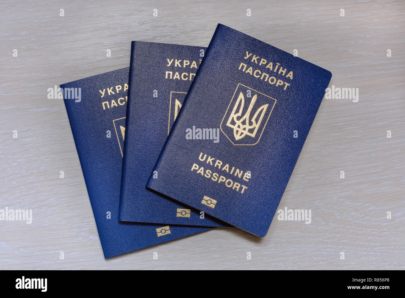 Passeport biométrique ukrainien sur un fond de bois gris Banque D'Images