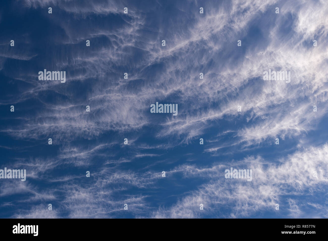 Formations réticulée dans les nuages élevés, les cirrus blanc contre un fond de ciel bleu Banque D'Images