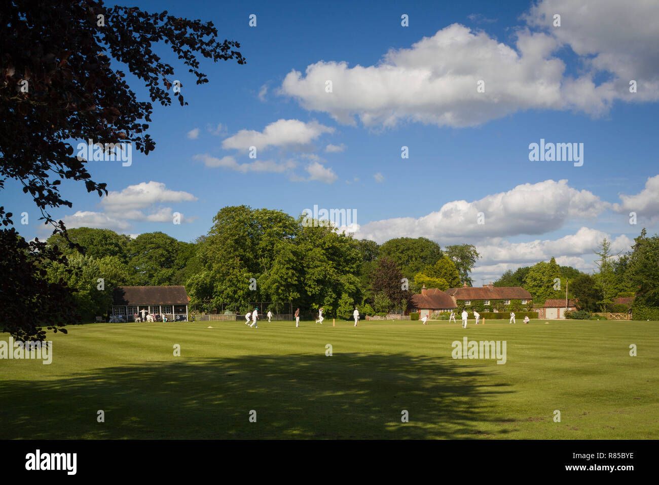 Une partie de cricket sur le village vert à vert gris, Rotherfield Greys, Oxfordshire. Banque D'Images