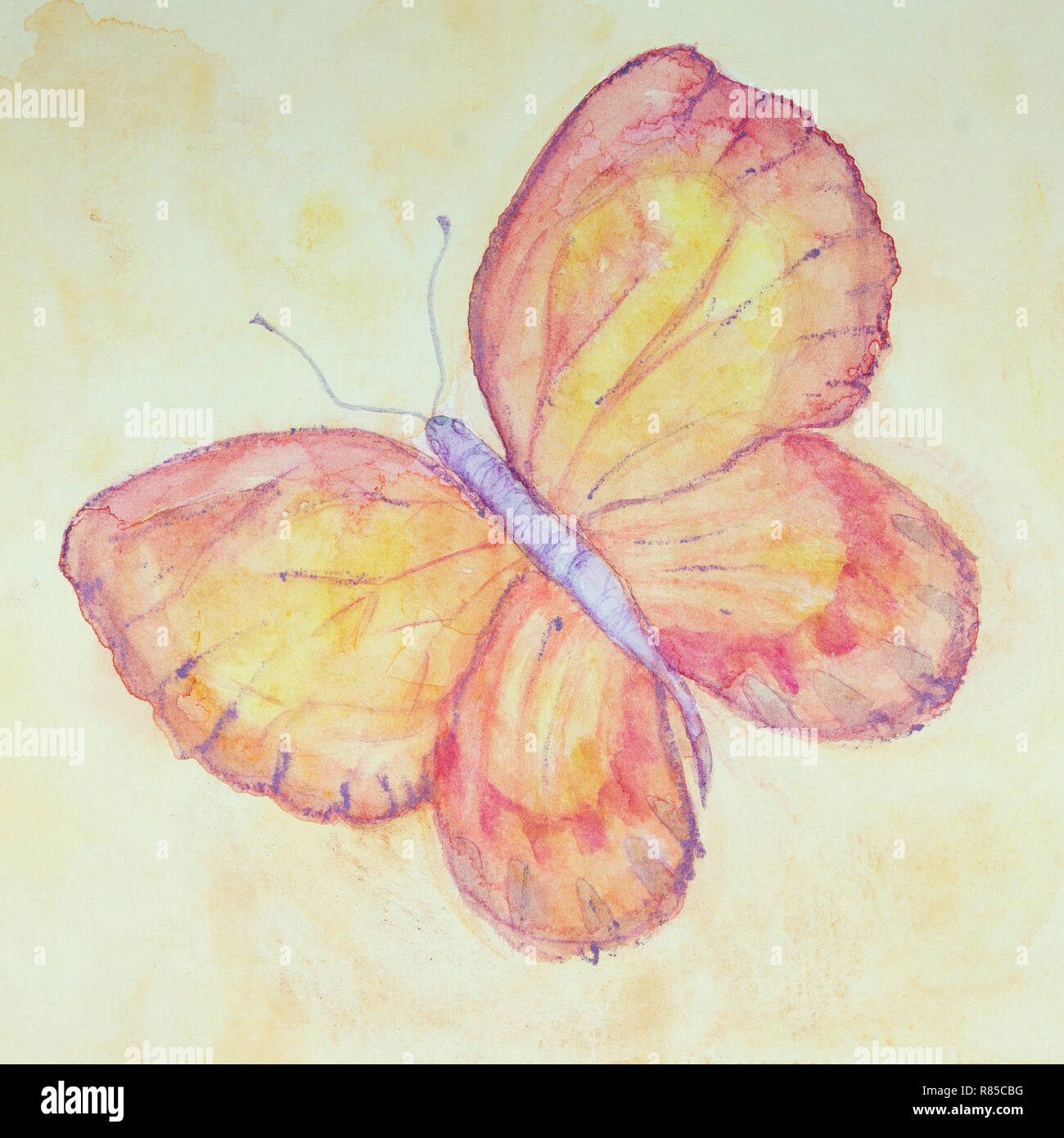 Rose et jaune Papillon volant dans un ciel jaune. La technique du badigeonnage près des bords donne un effet de flou en raison de la modification de la rugosité de surface Banque D'Images