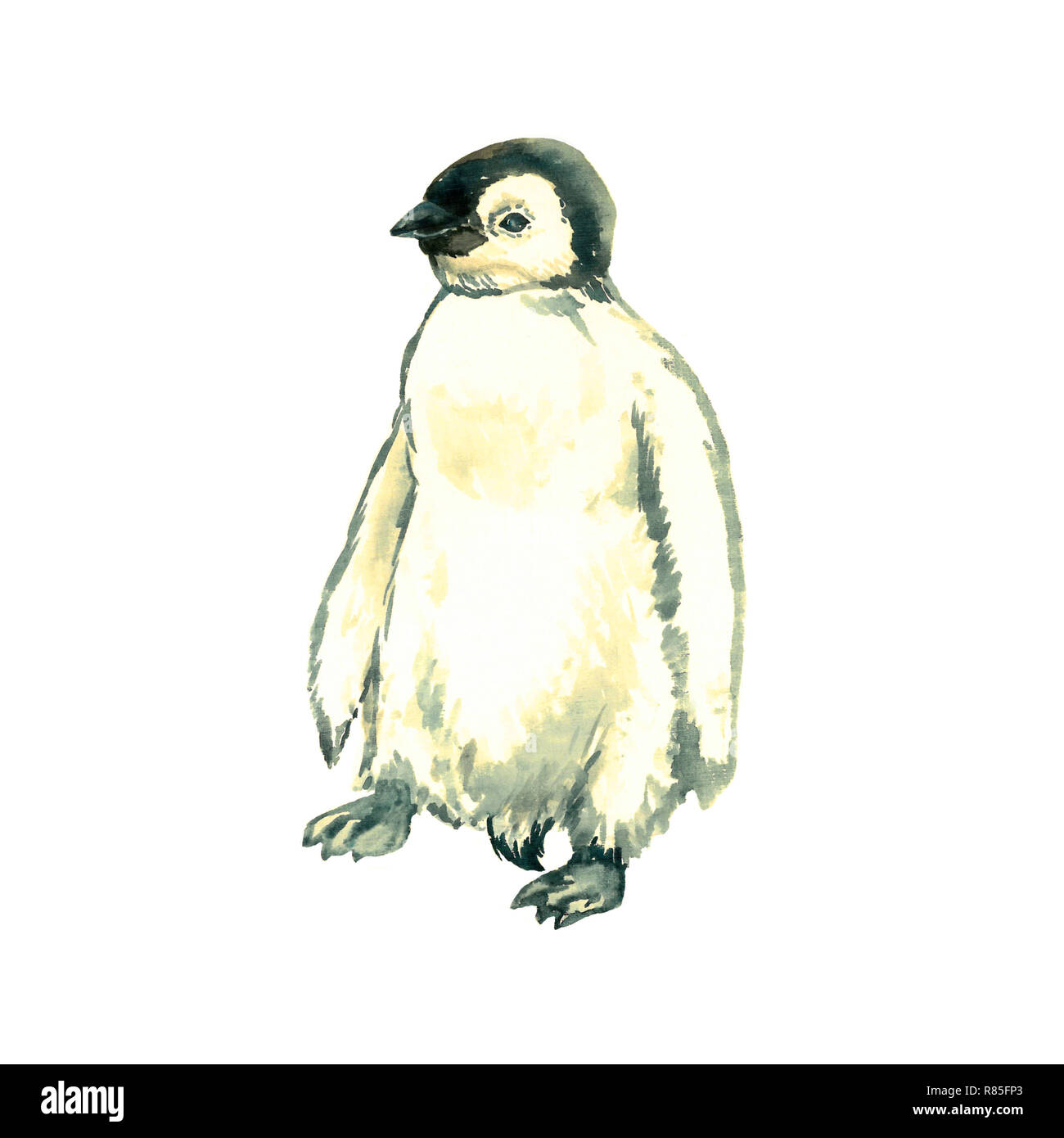 Aquarelle joyeux noël personnage pingouin illustration. Carte de dessin  d'animaux amusante et isolée en hiver. Hiver Noël hiver pingouins Photo  Stock - Alamy