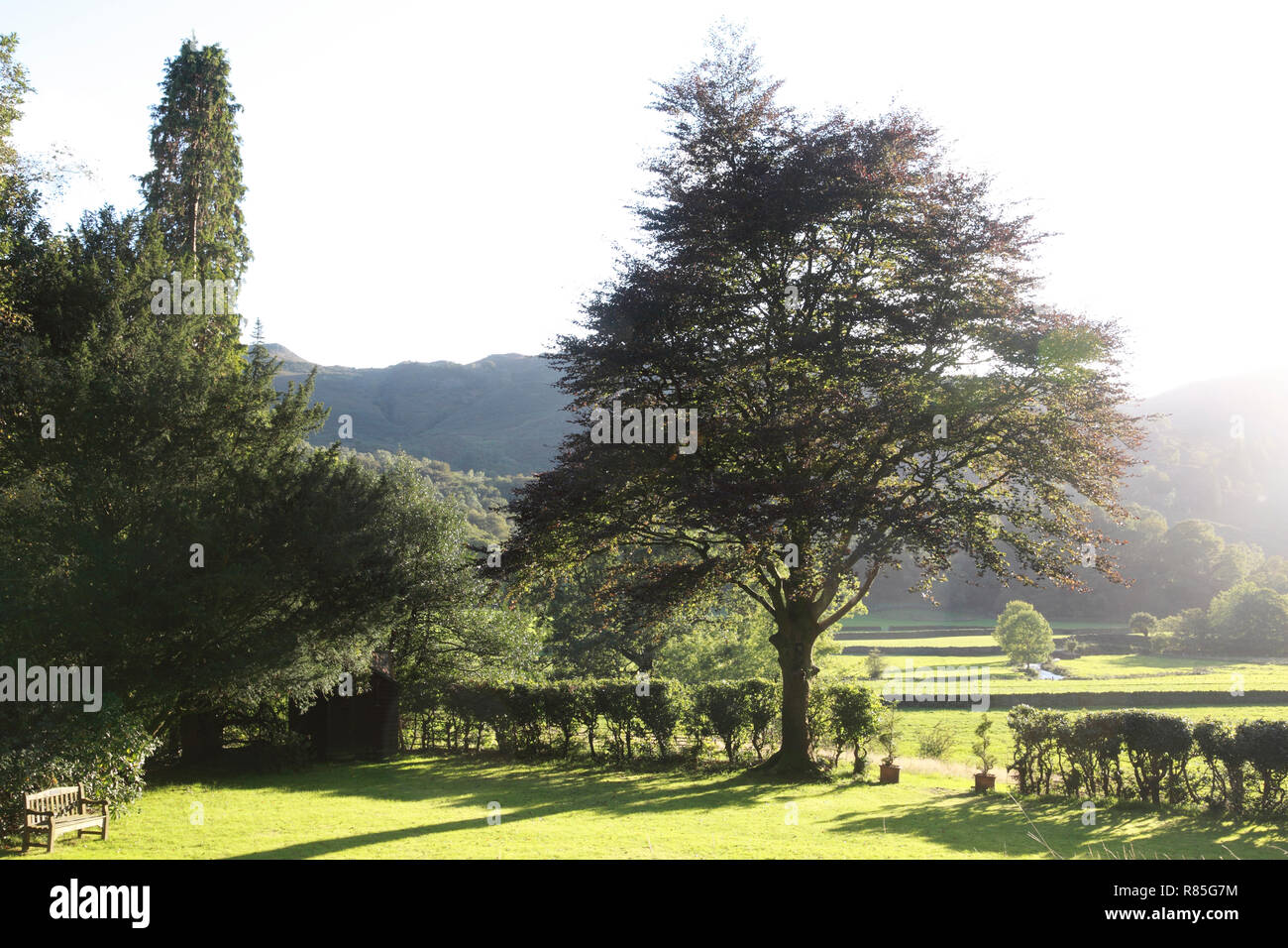 Une vue sur Easedale Grasmere, dans le Lake District Banque D'Images