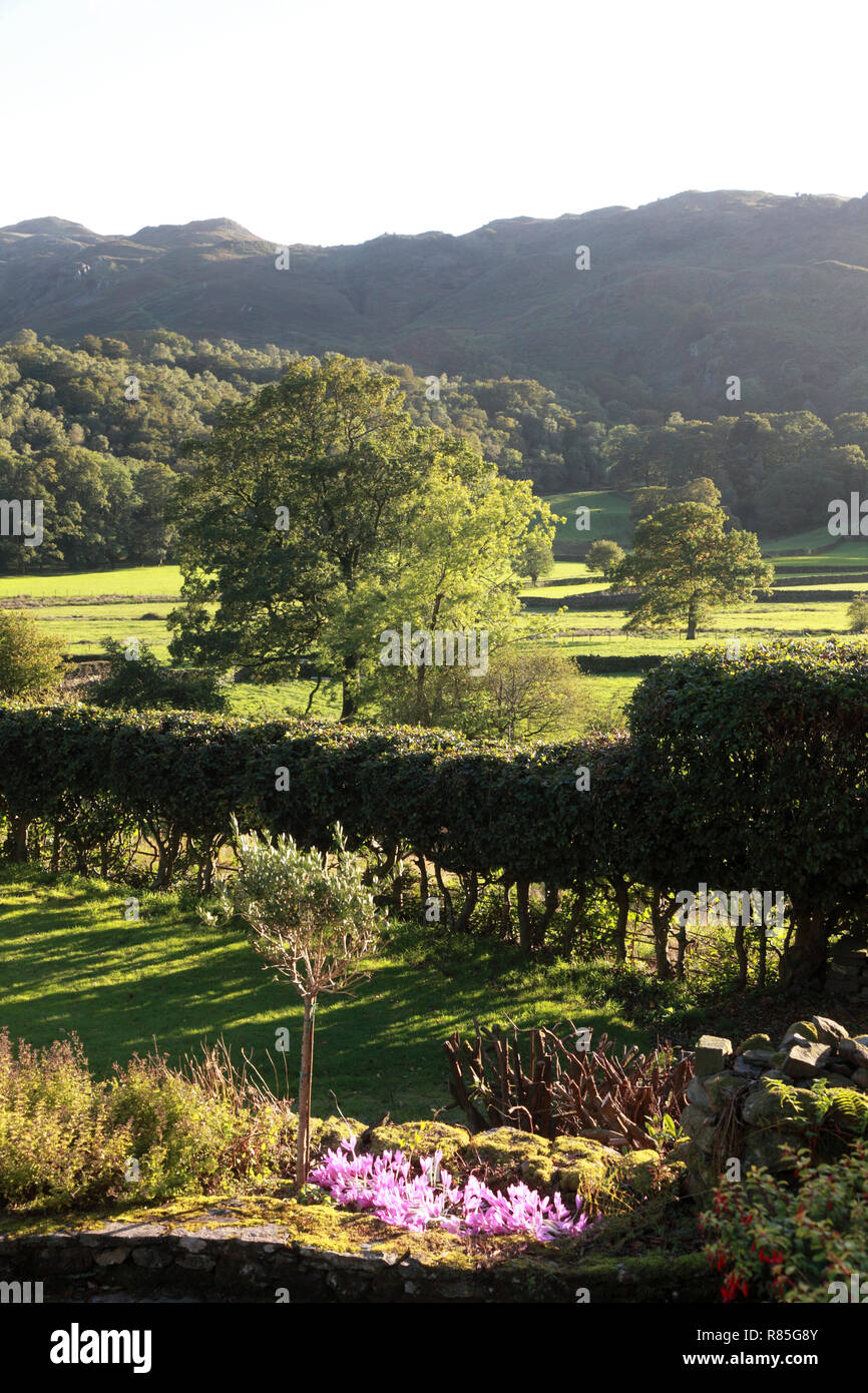 Une vue sur Easedale Grasmere, dans le Lake District Banque D'Images Une vue sur Easedale Grasmere, dans le Lake District Banque D'Images