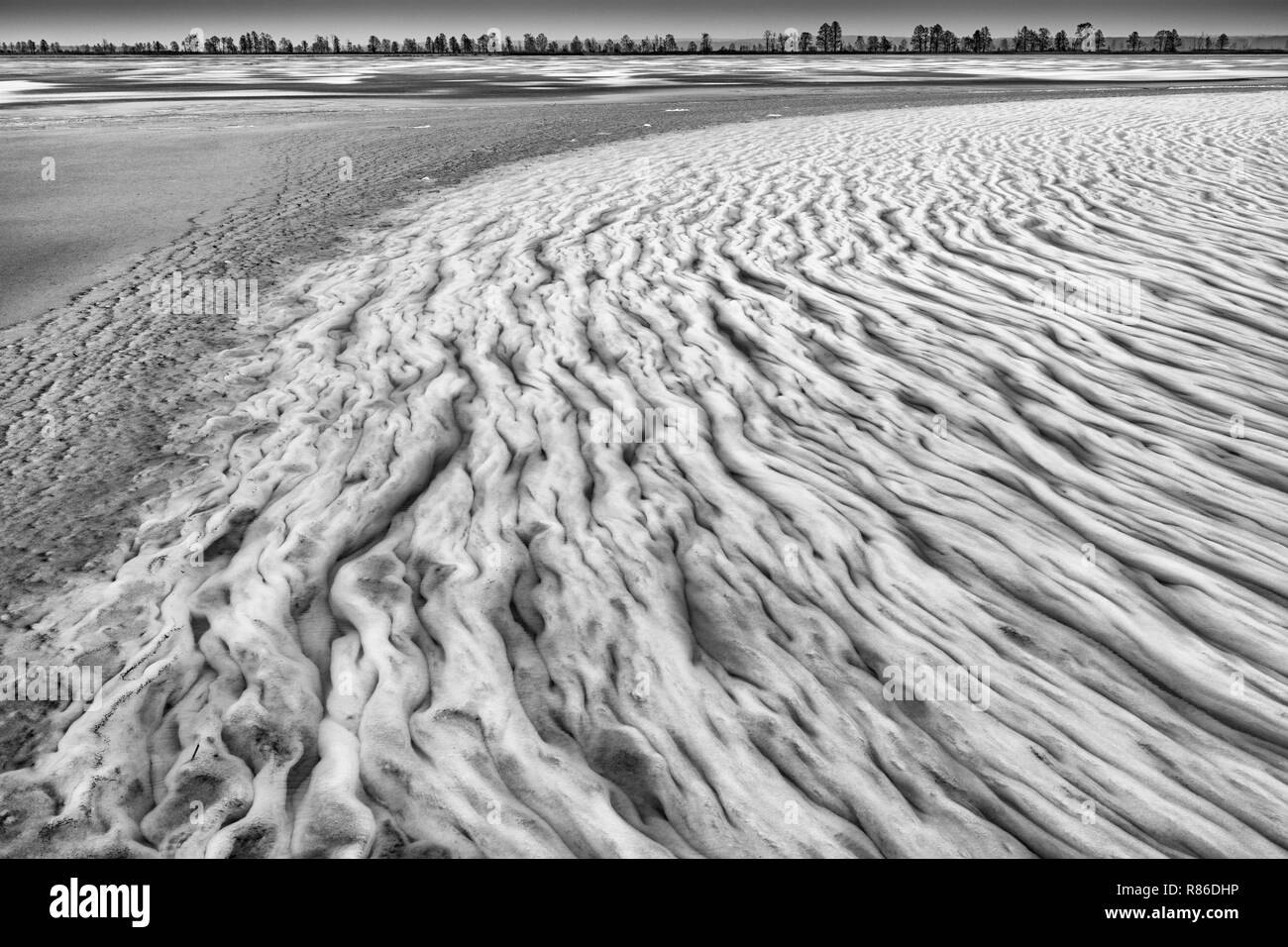 L'eau congelée, les marais de Biebrza, Pologne Banque D'Images