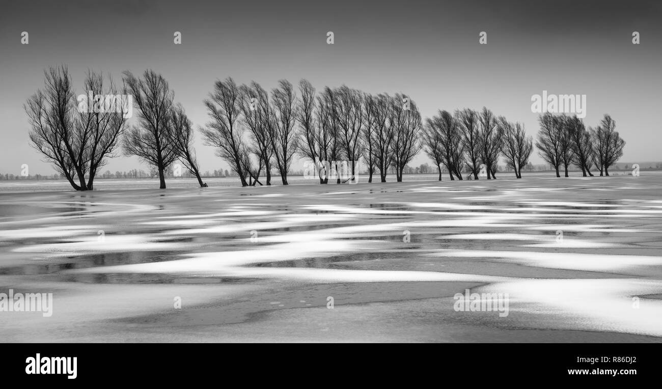 L'eau congelée, les marais de Biebrza, Pologne Banque D'Images