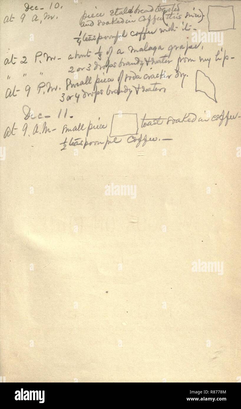 Oiseaux de cage et Canaries Banque D'Images