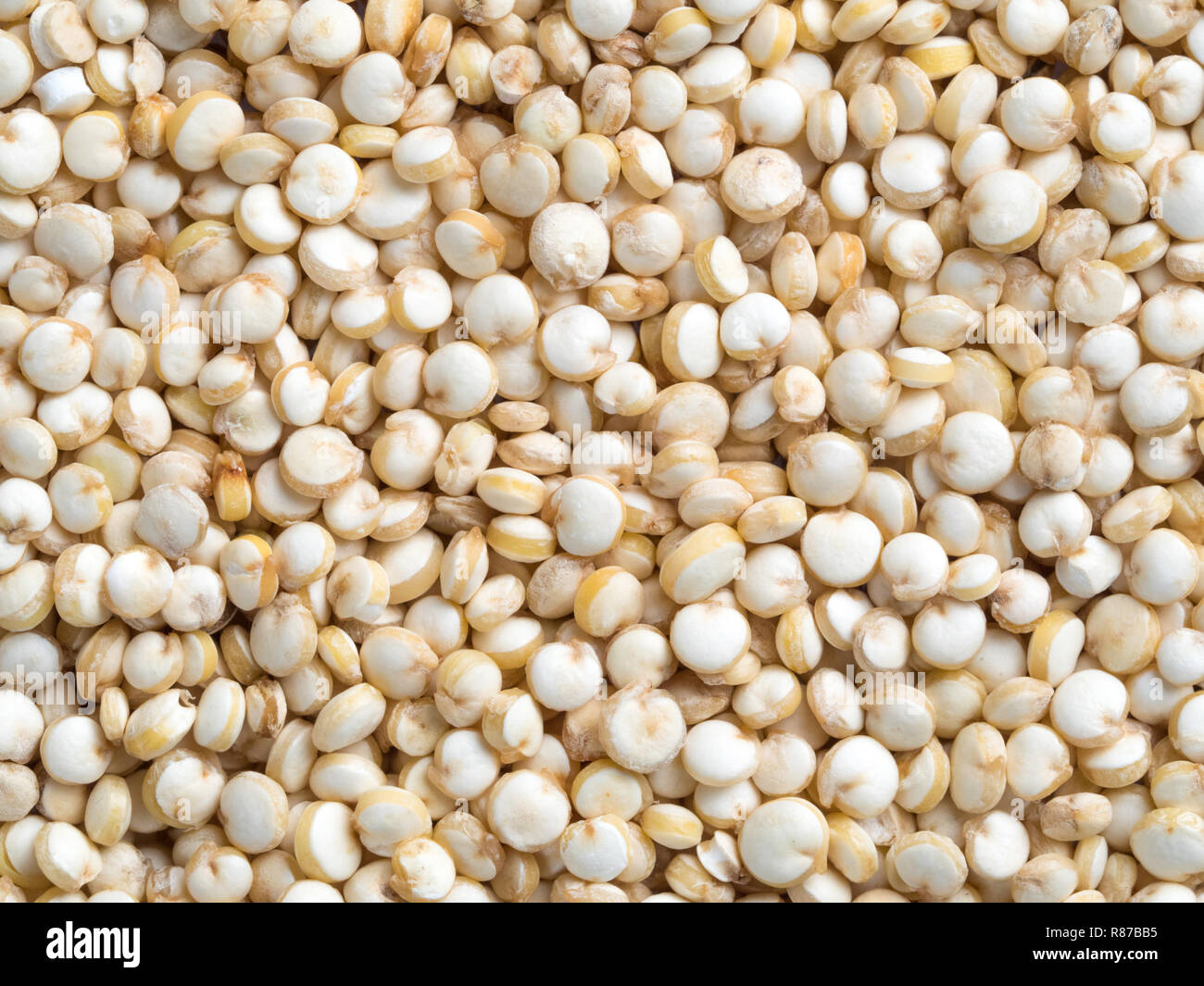 Grain de quinoa. Matières premières non cuit quinoa comme arrière-plan. La nourriture végétalienne saine notion et le motif Banque D'Images