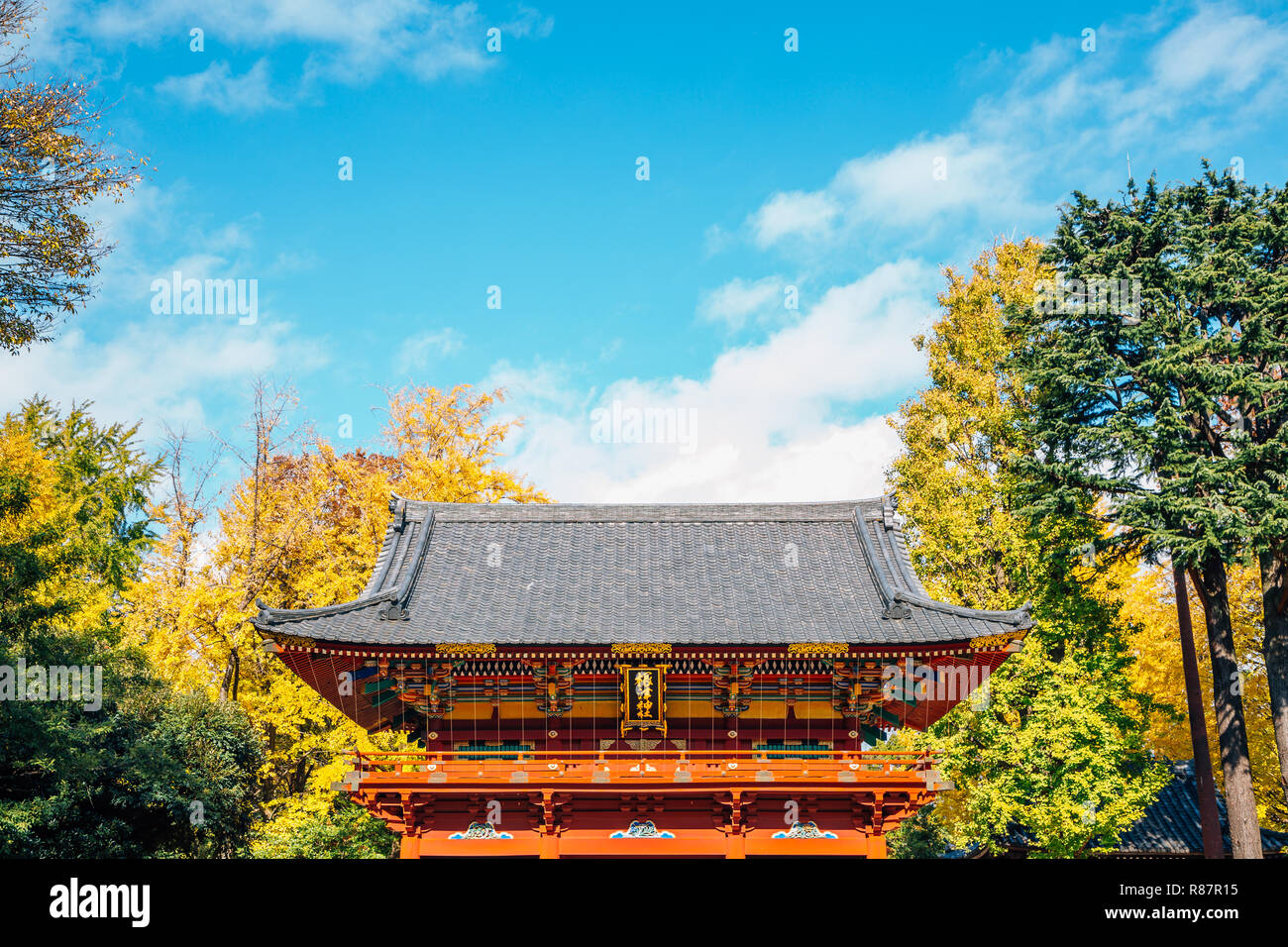 Au sanctuaire Nezu automne à Tokyo, Japon Banque D'Images